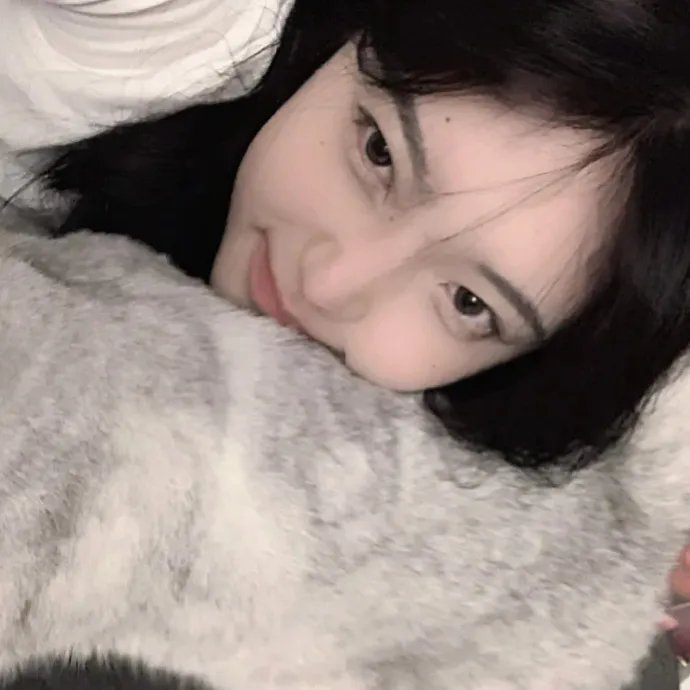 戴洛奇小镇第一季